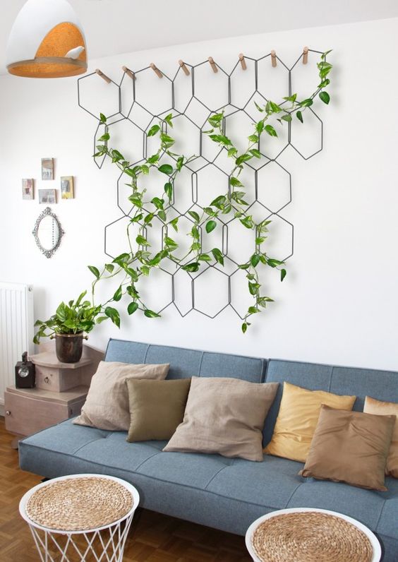 plante grimpante sur mur